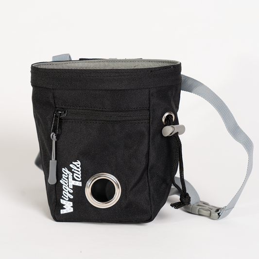 Multi-Purpose Dog Walker's Utility Bag