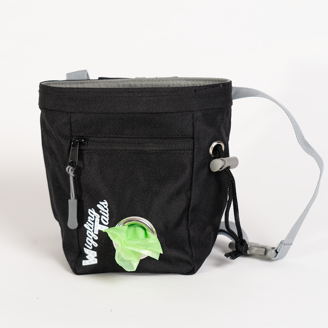 Multi-Purpose Dog Walker's Utility Bag