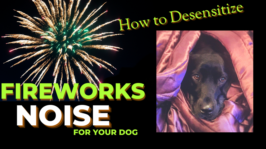 Soothing Fireworks Therapy: Help Dogs Overcome Fear