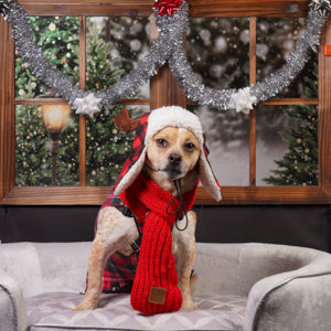Christmas Dog - Licu